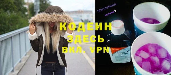 гашик Киренск