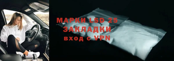шишки Балахна