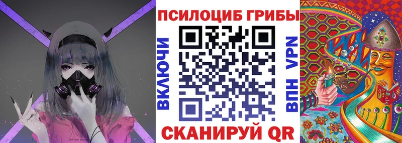 Купить  Асино  Псилоцибиновые грибы Cubensis 