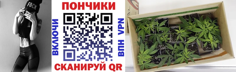МАРИХУАНА Ganja Асино